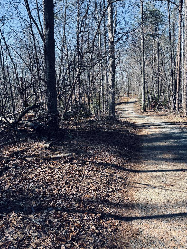 Blue Ridge, GA 30513,LT 74 Bice Lane