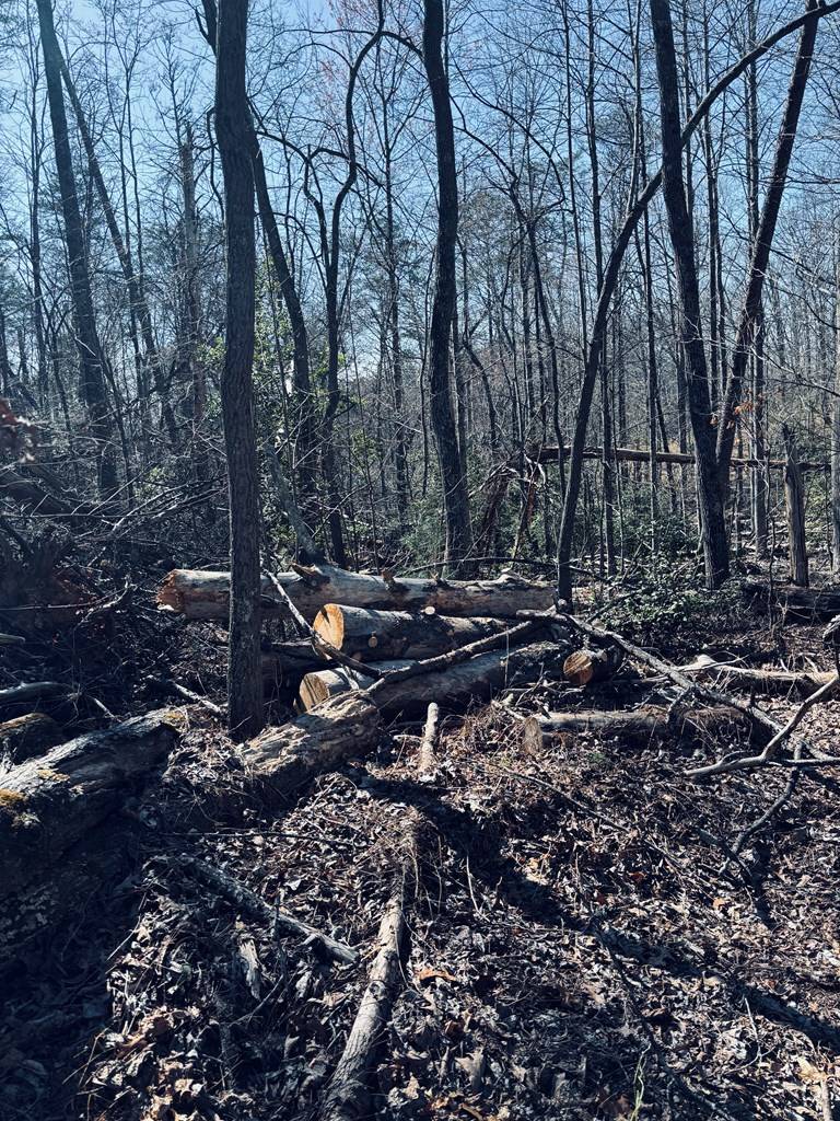 Blue Ridge, GA 30513,LT 74 Bice Lane