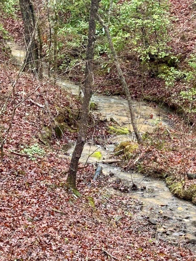 Blue Ridge, GA 30513,LT 63 Bice Lane