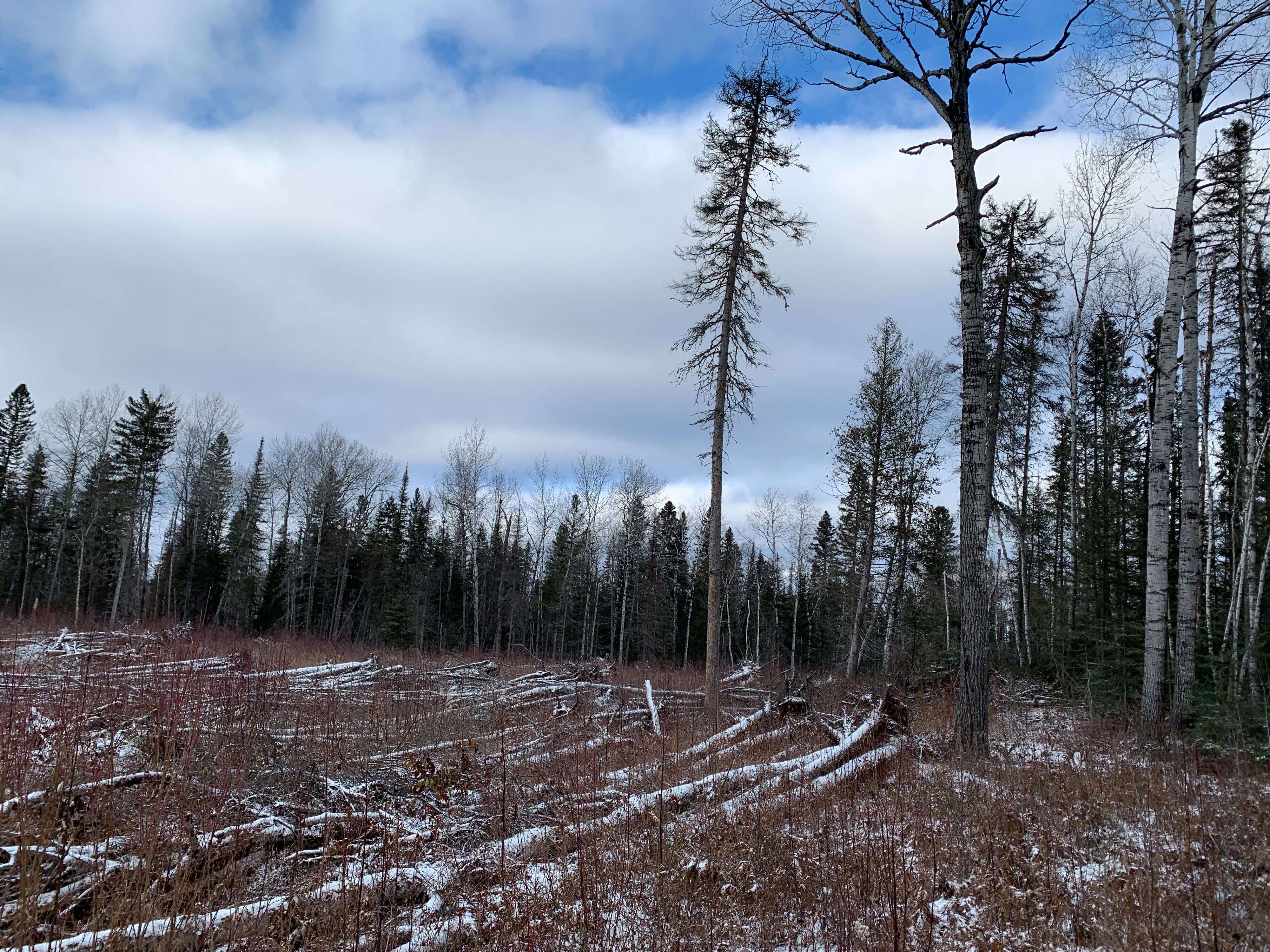 Timmins, ON P4N 7K2,PCL8547 HWY 101 HWY W