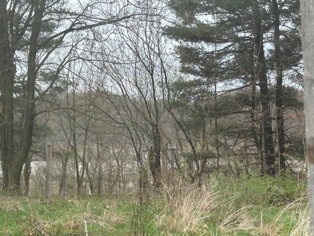 Beech Bottom, WV 26030,3 Private Drive