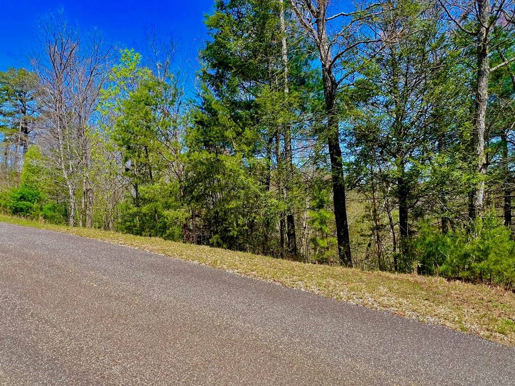 Morganton, GA 30560,14 Hawks View