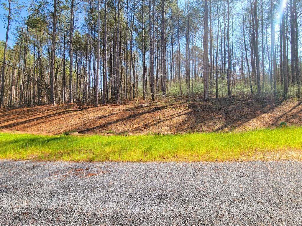 Ellijay, GA 30536,68 Mountaingate Way