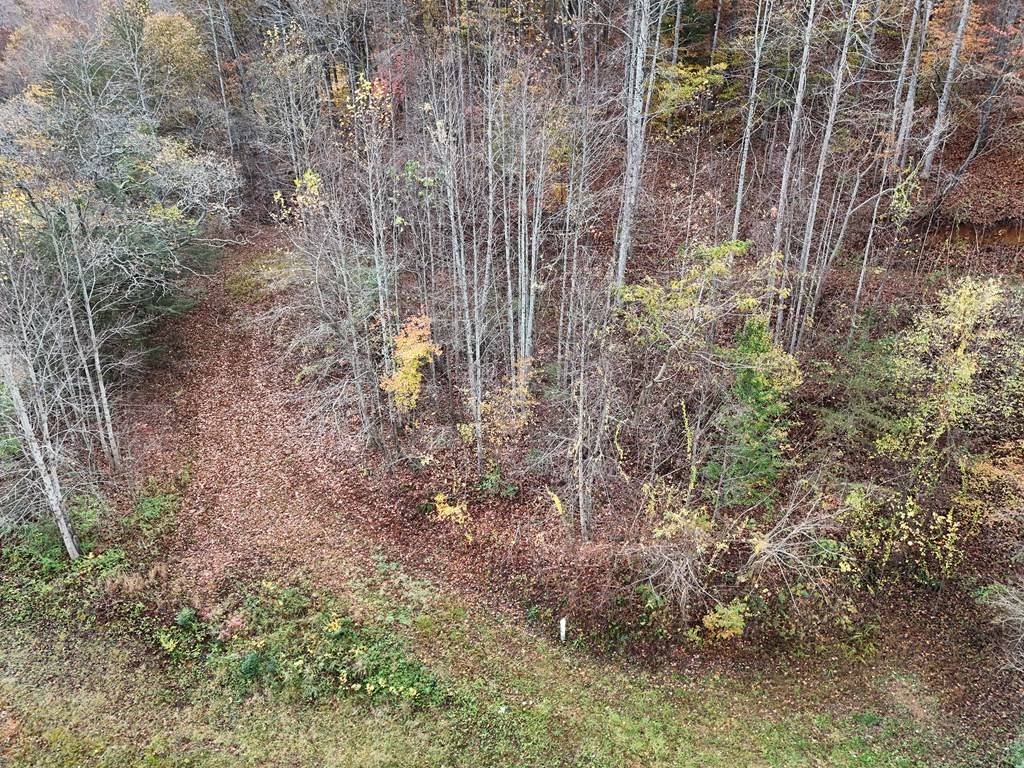 Hiawassee, GA 30546,1.6 AC Highway 76