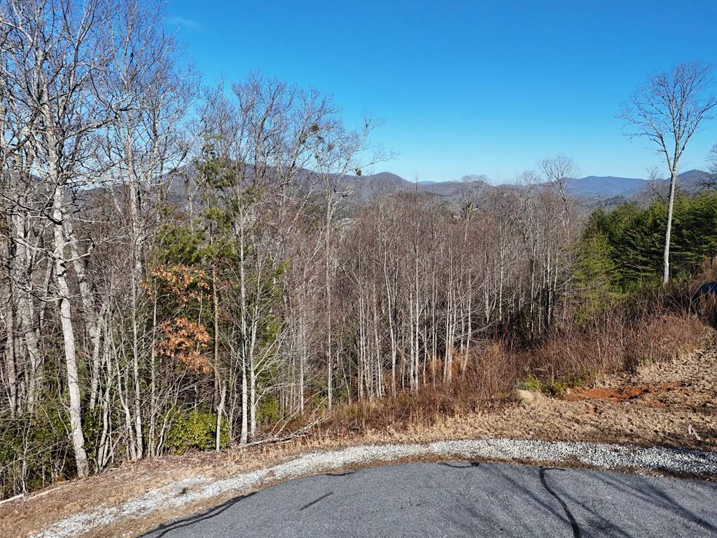 Hiawassee, GA 30546,2376 Haven Heights Road