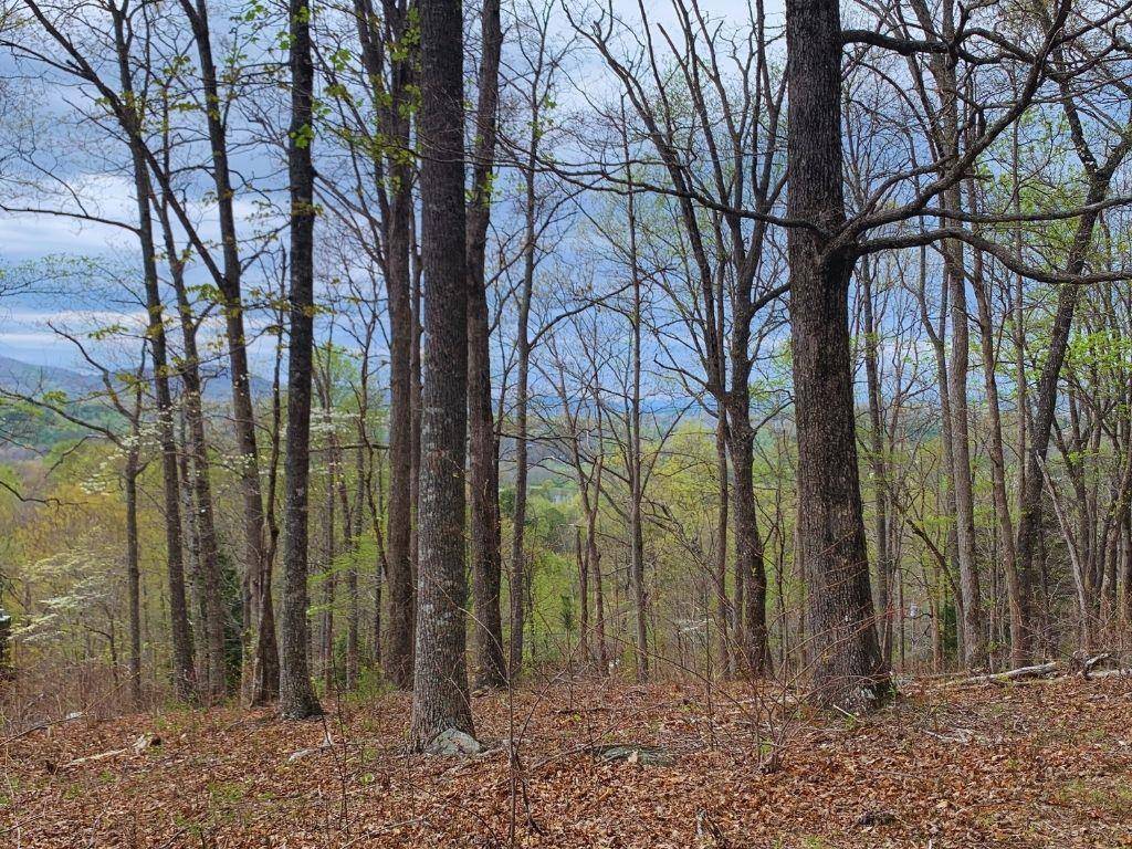 Young Harris, GA 30582,Lot 65 Timberline Drive