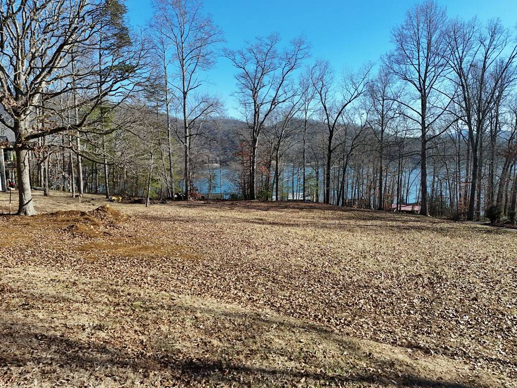 Hiawassee, GA 30546,15 Sayer Lane