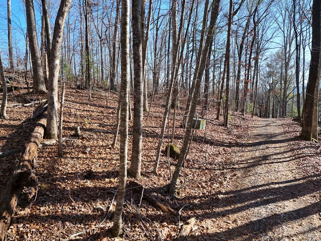 Hiawassee, GA 30546,15 Sayer Lane