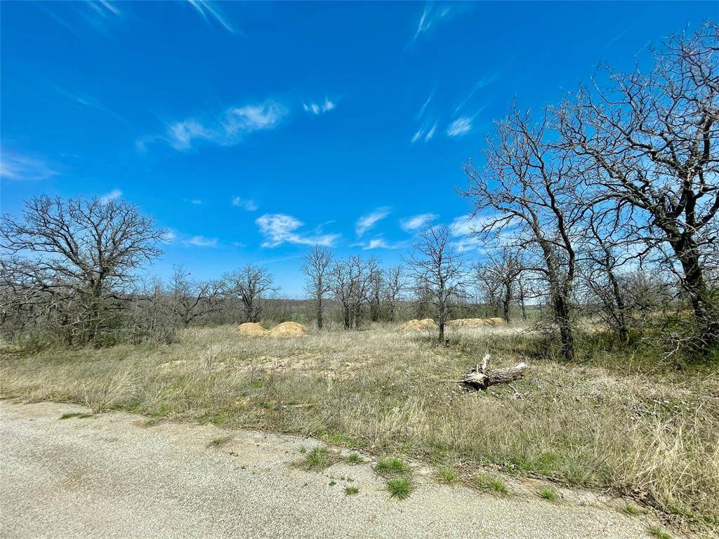 Bridgeport, TX 76426,TBD Lark Meadow Drive