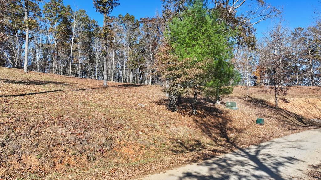 Blue Ridge, GA 30513,LT 19 Haven Way