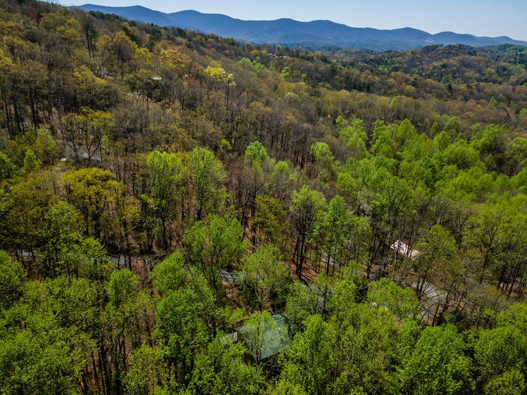 Cherry Log, GA 30522,266 Chimney Rock Road