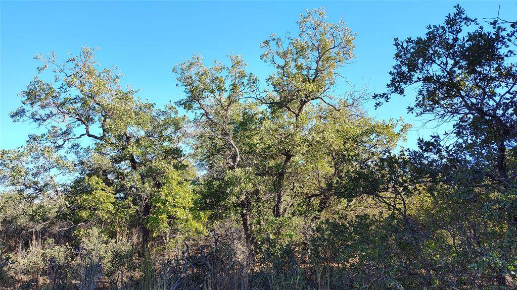 Hawley, TX 79525,TBD Private Rd 342