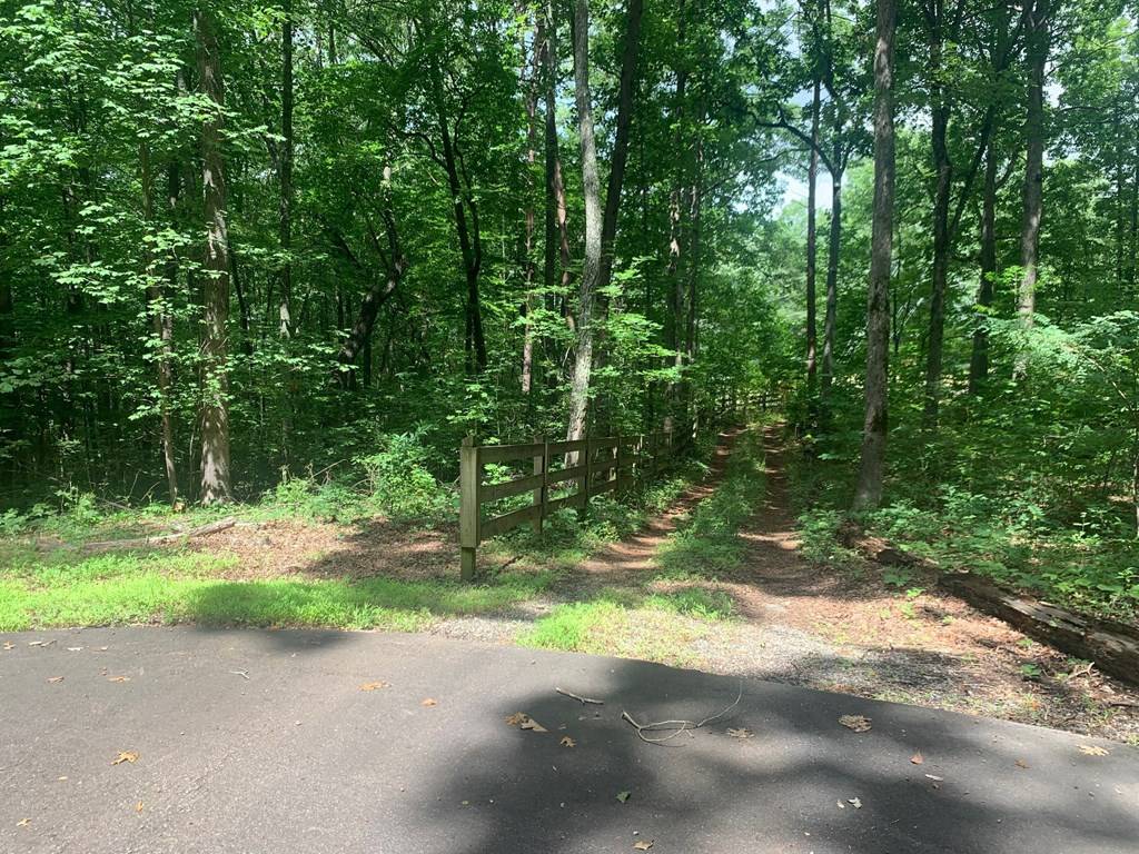 Young Harris, GA 30582,Lot 89 Broken Bow Trail