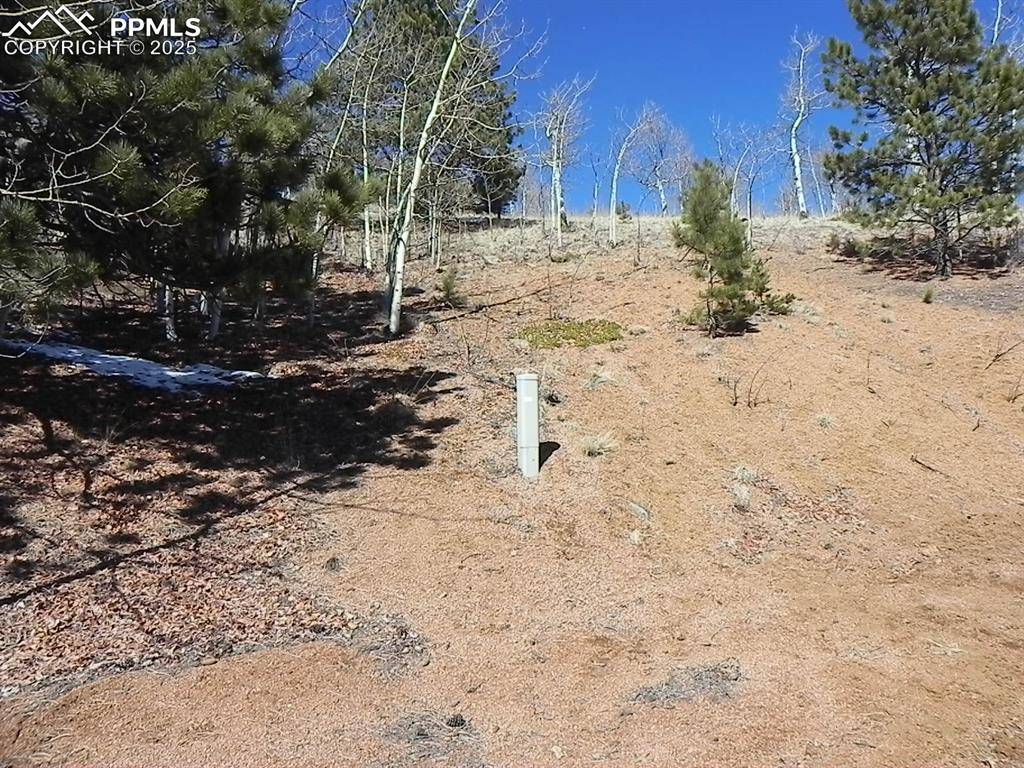 Cripple Creek, CO 80813,185 No Name LN