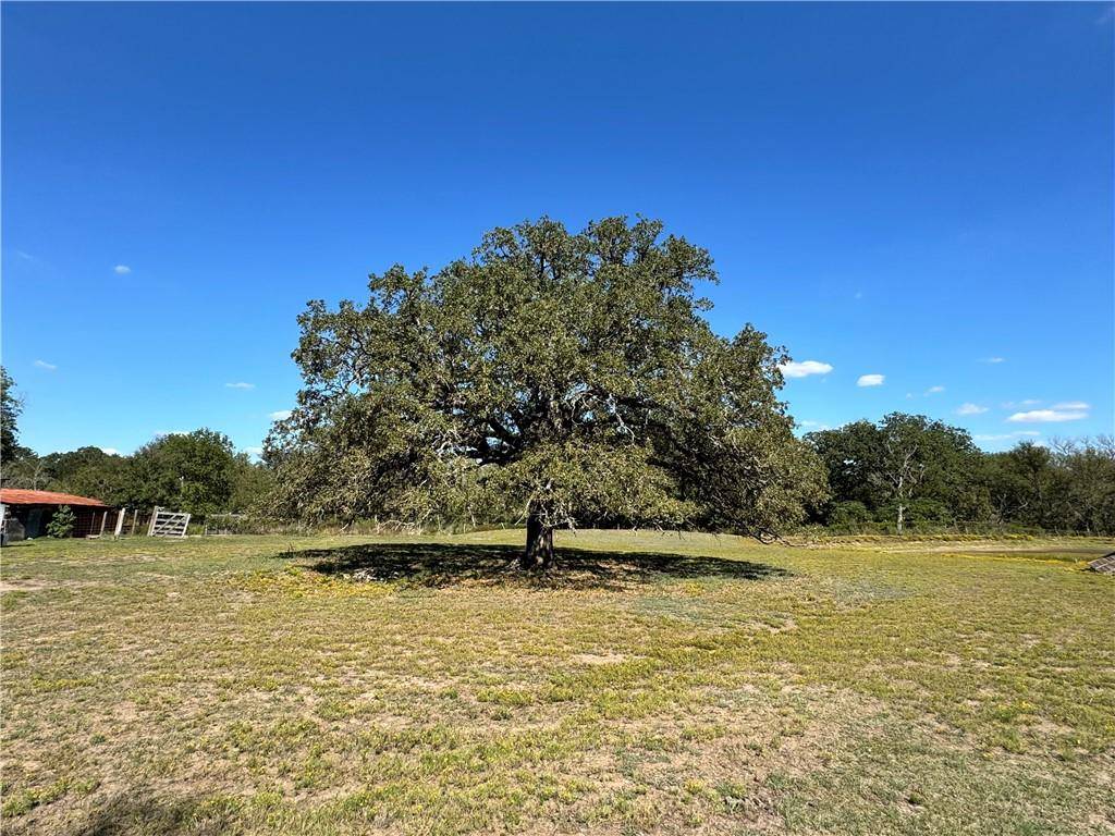Riesel, TX 76682,207 S Hedwig Street