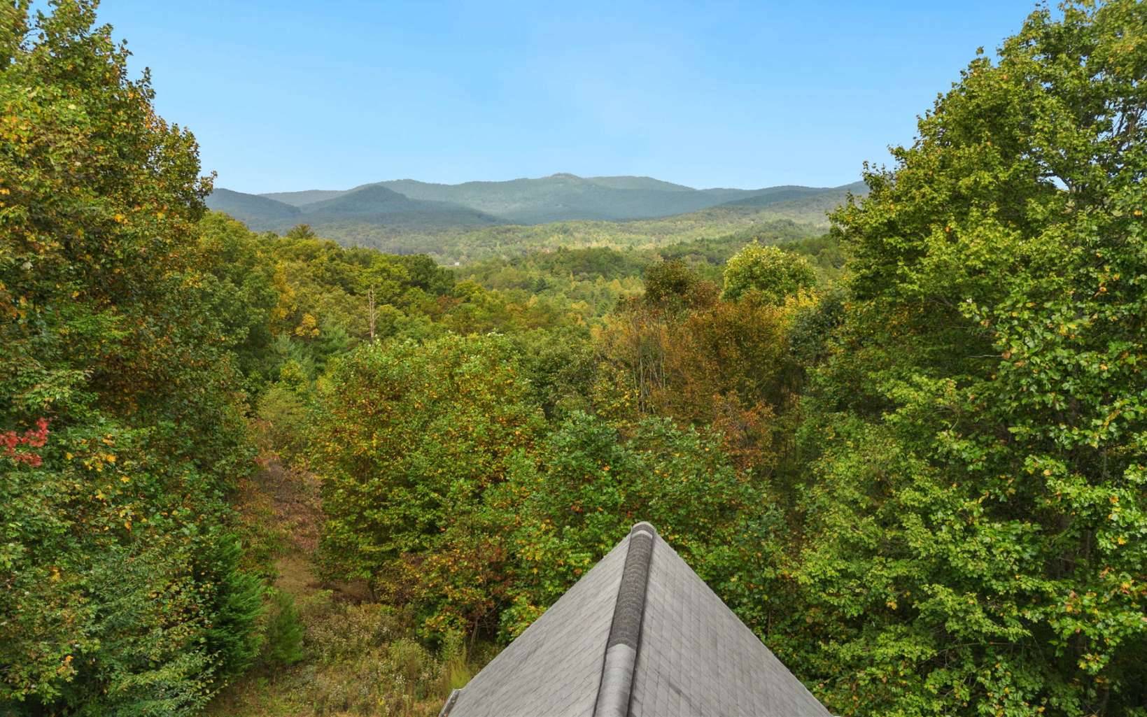 Mineral Bluff, GA 30559,260 Mountain High Drive