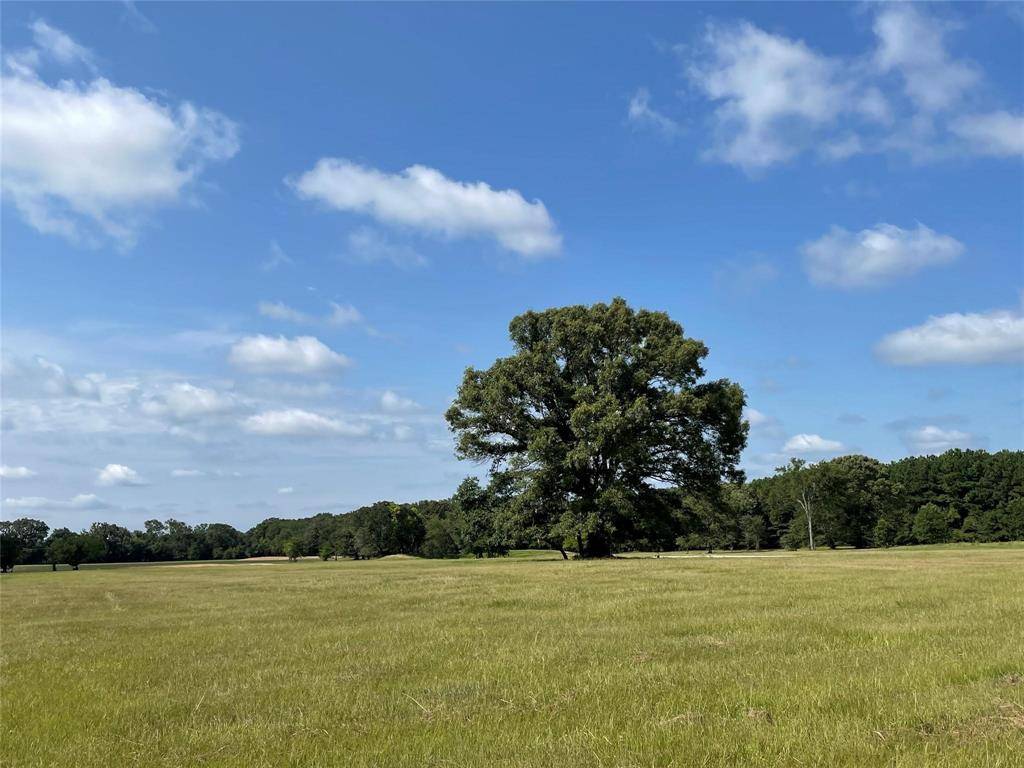 Alba, TX 75410,Lot 5A Rains County Road 2420