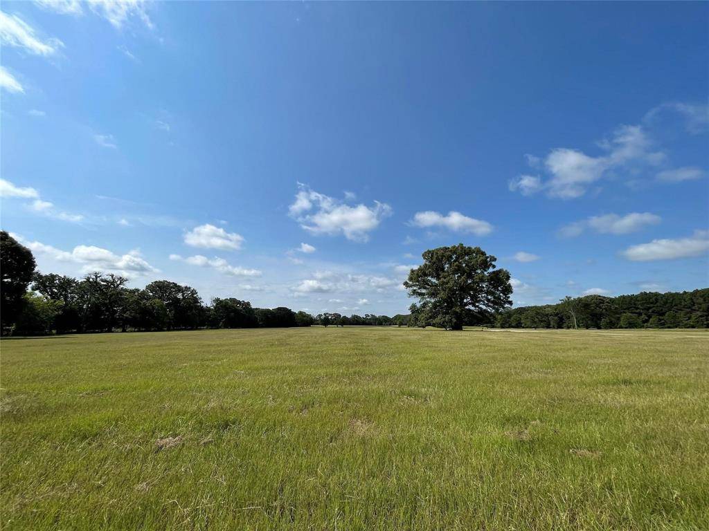Alba, TX 75410,Lot 5A Rains County Road 2420