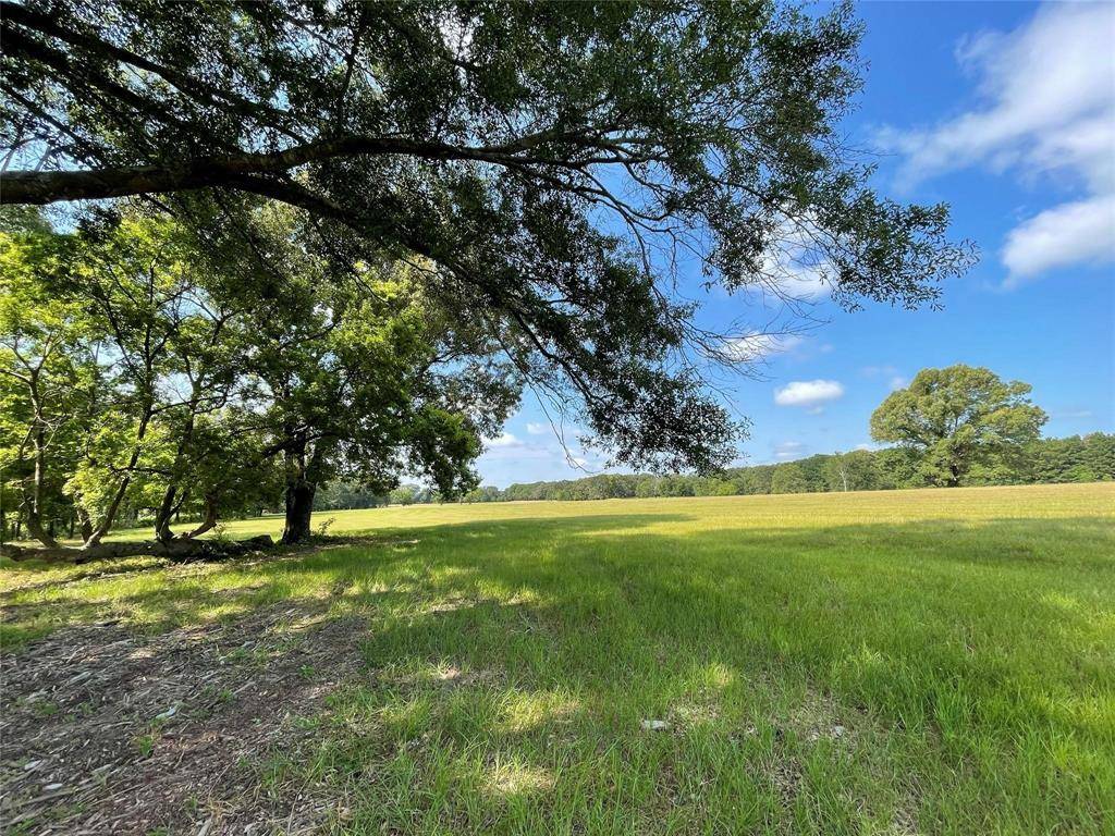 Alba, TX 75410,Lot 5A Rains County Road 2420