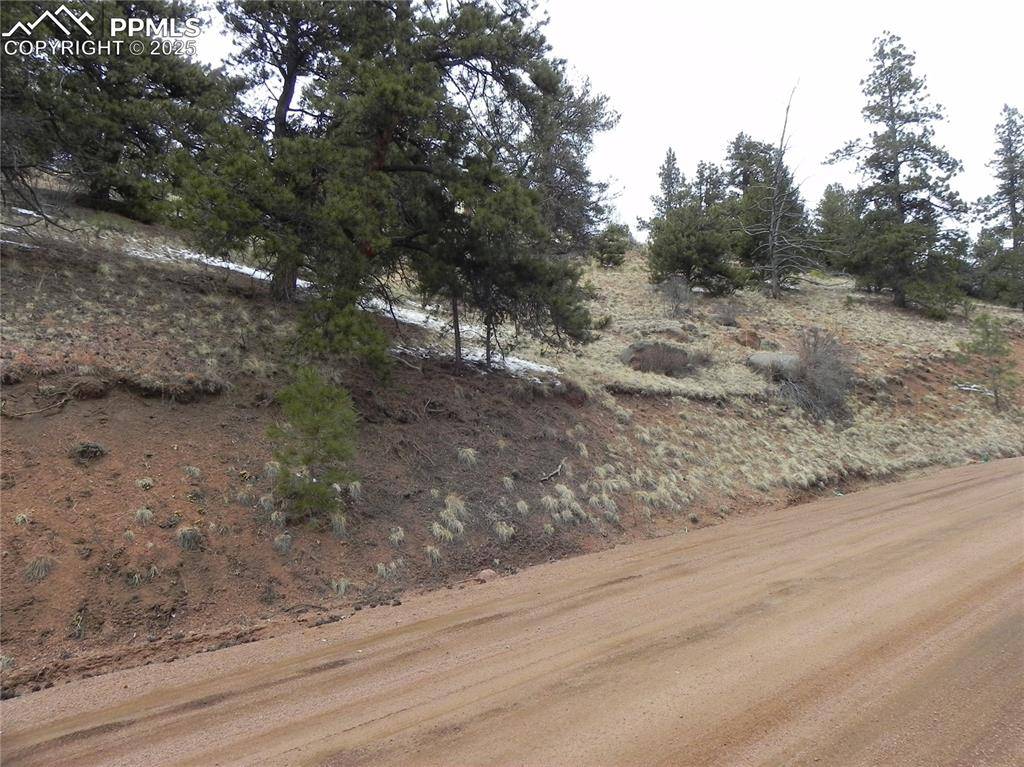 Cripple Creek, CO 80813,153 Idlewild DR