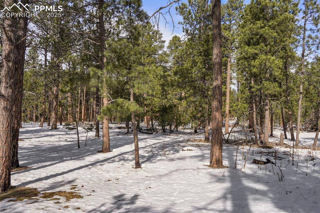Colorado Springs, CO 80908,00 Wyandott DR