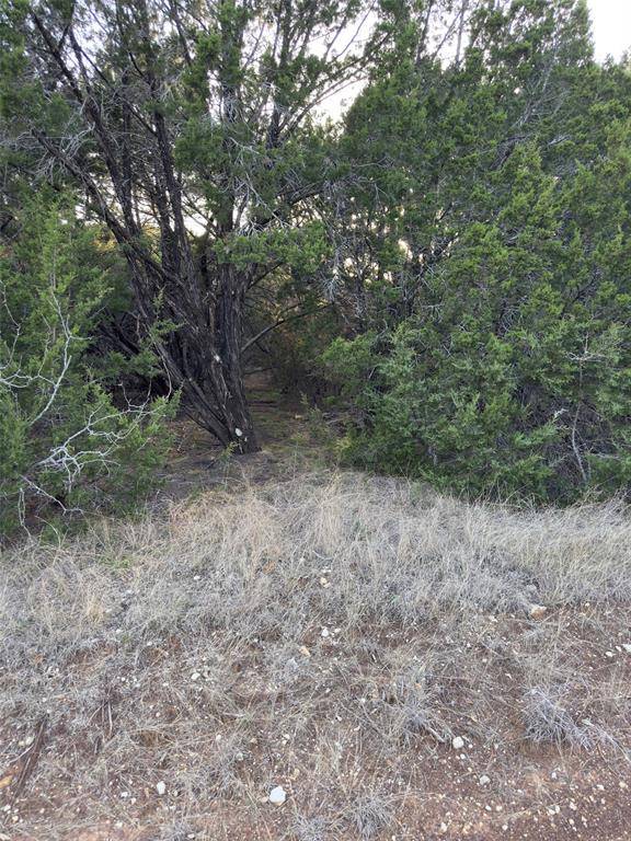 Whitney, TX 76692,22295 Westmeadow Drive