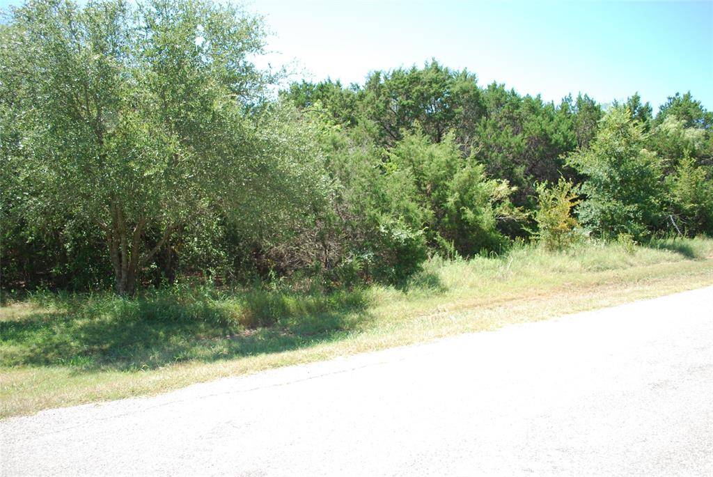 Whitney, TX 76692,44155 Whisperwood Drive