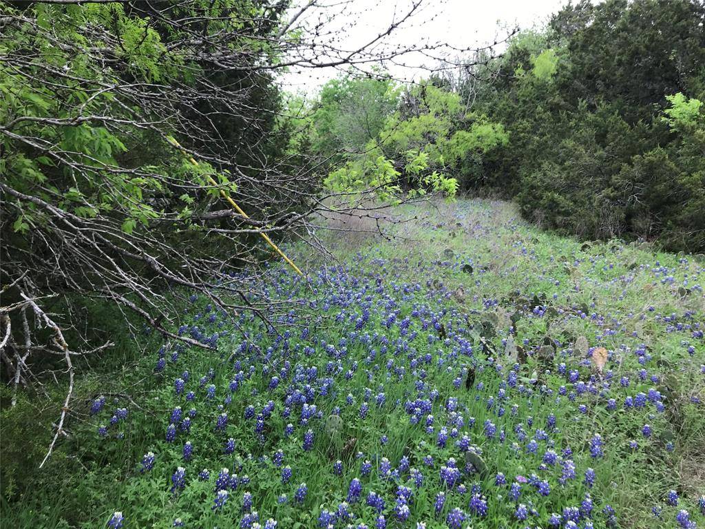 Whitney, TX 76692,4095 Whitecrest Drive