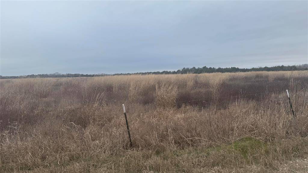 Kerens, TX 75144,TBD SE 4060 Road