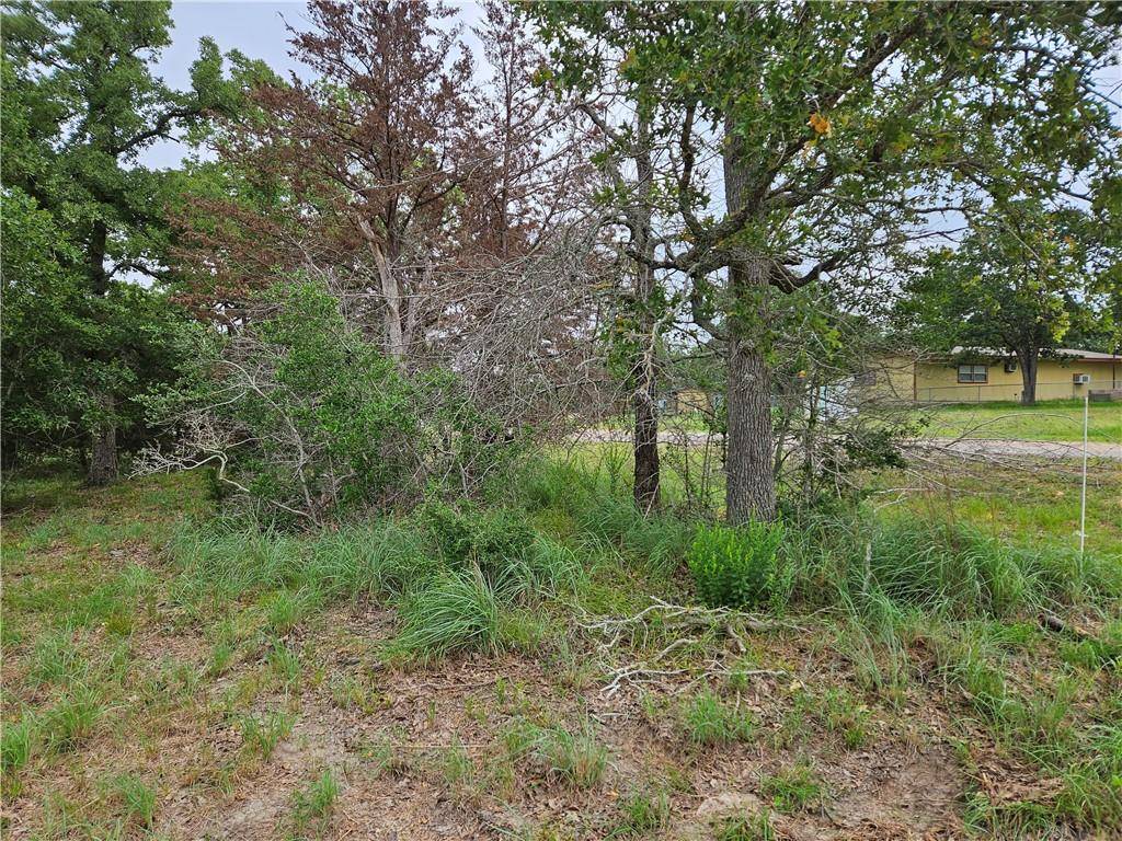 Somerville, TX 77879,LOT 33 Apache Drive