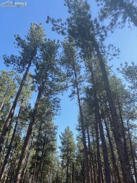 Cripple Creek, CO 80813,560 Princess RD