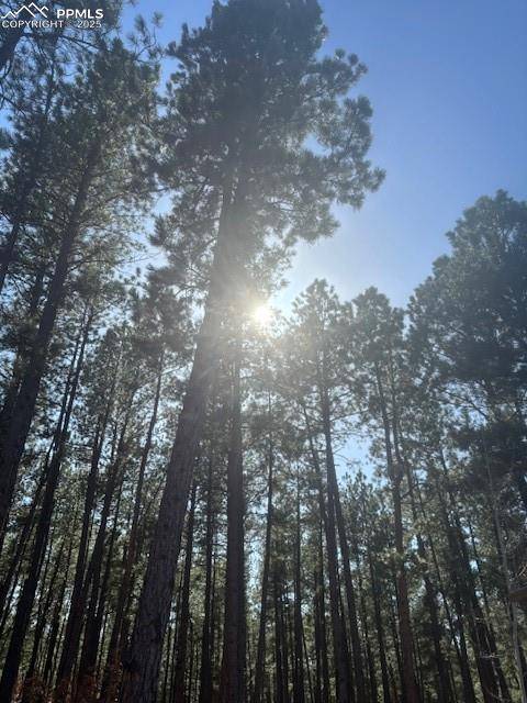 Cripple Creek, CO 80813,560 Princess RD