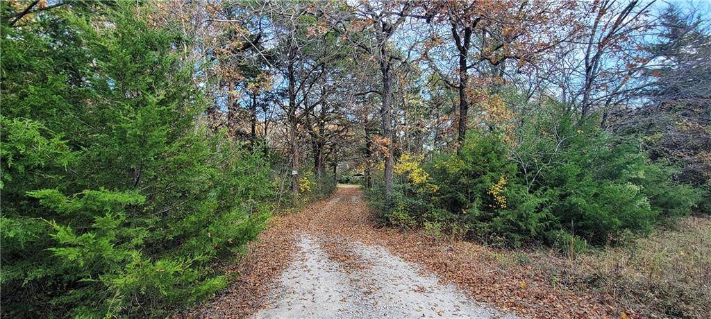 Kosse, TX 76653,563 LCR 721