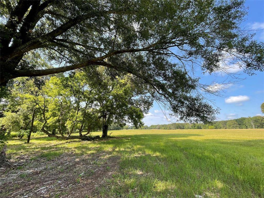 Alba, TX 75410,Lot 5B Rains County Road 2420