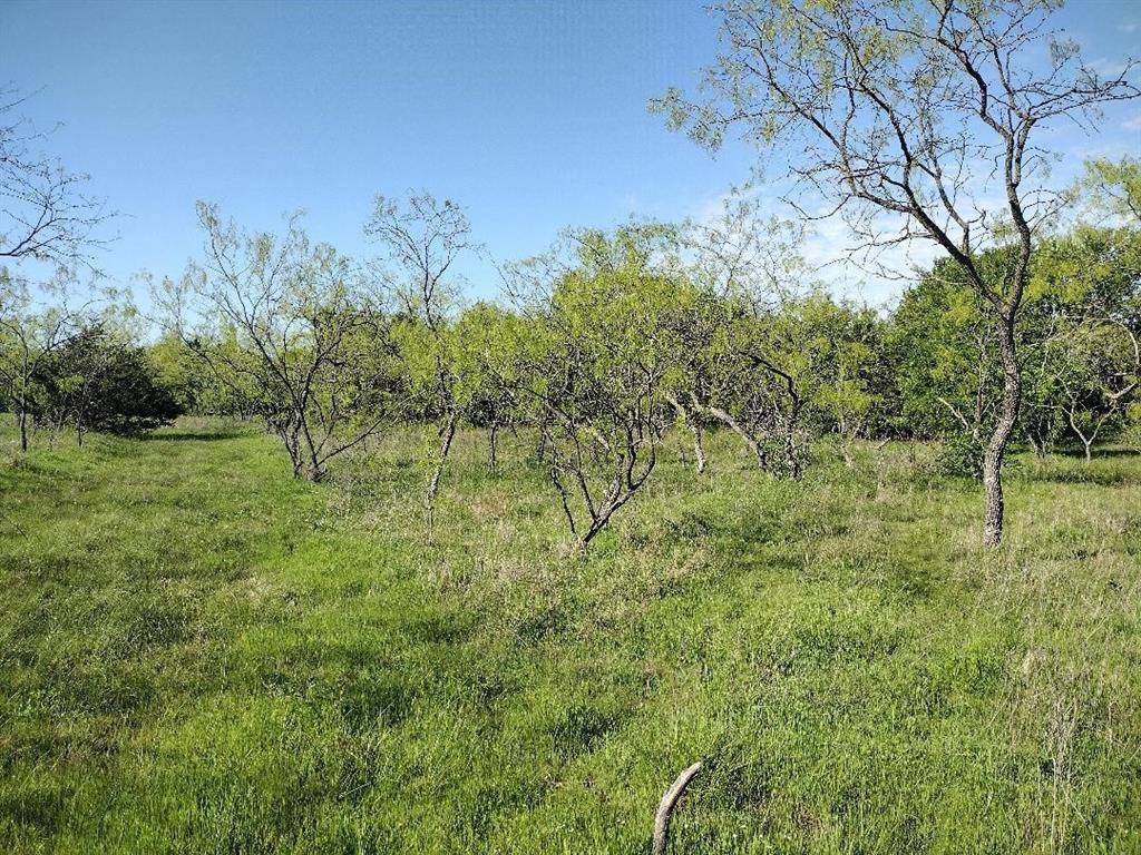Royse City, TX 75189,4007 Vista Oak