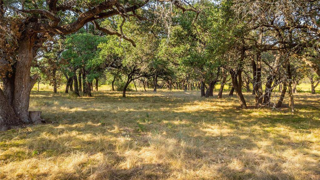 Lometa, TX 76853,2455 County Road 2699