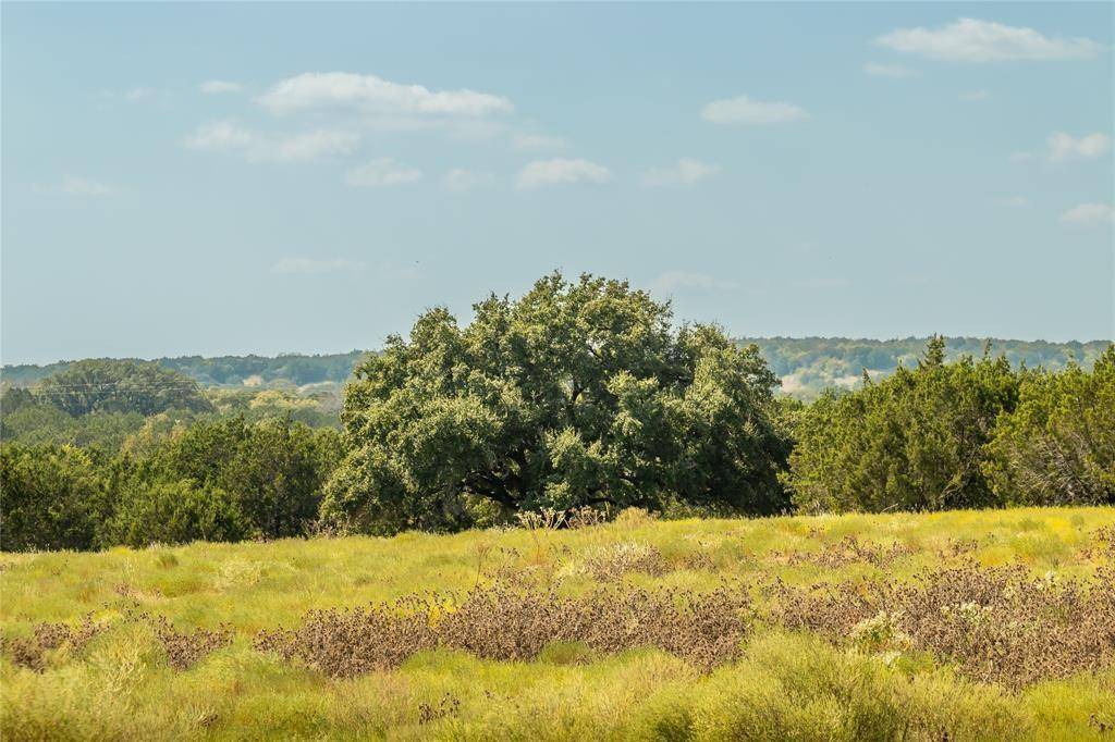 Lometa, TX 76853,2455 County Road 2699