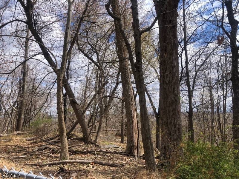 Green Brook Twp., NJ 08812,1144 N Washington Ave