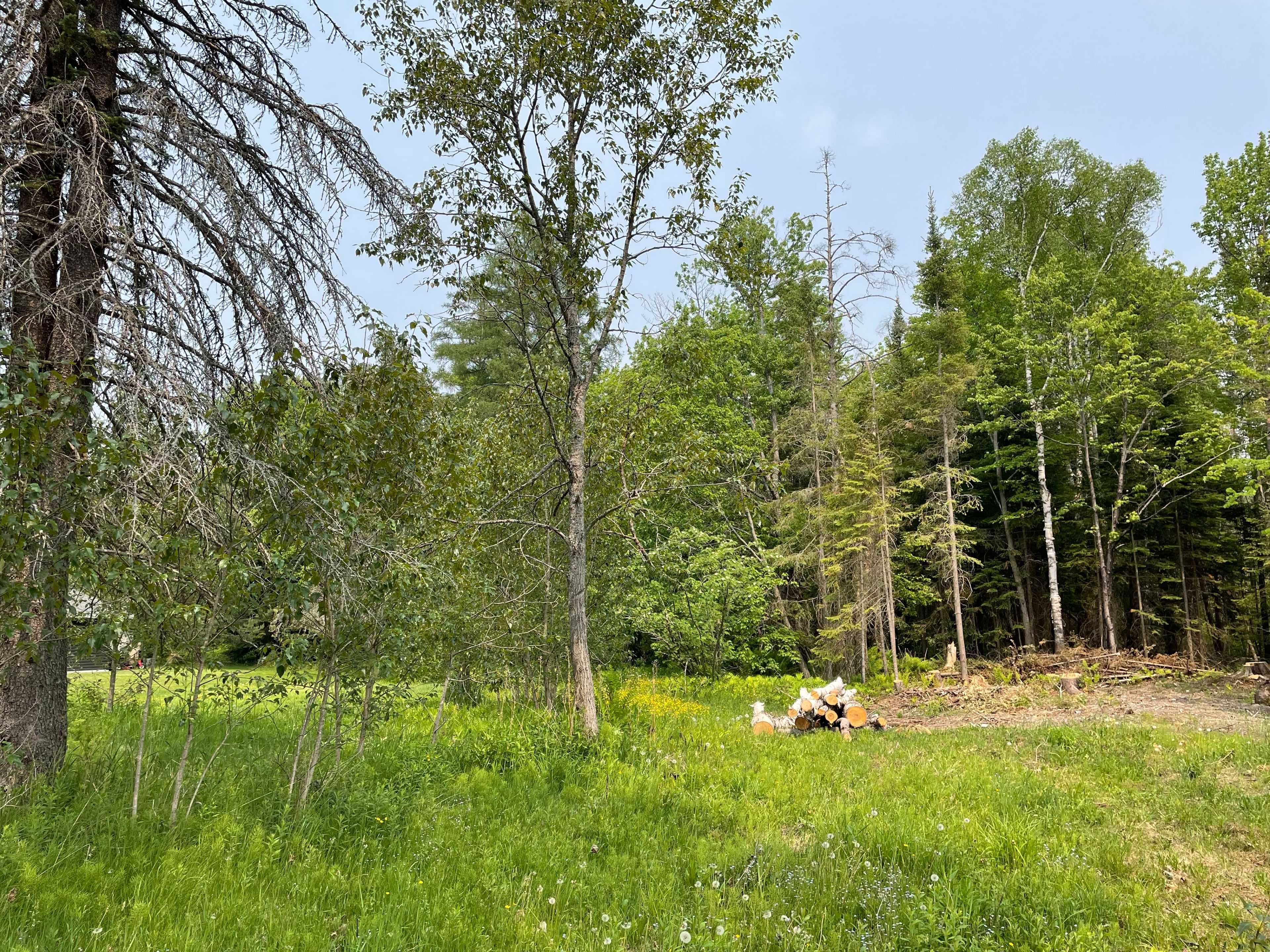 Sundridge, ON P0A 1Z0,19 Belmont ST