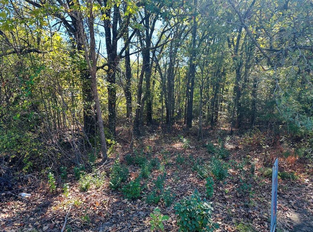 Gun Barrel City, TX 75156,N/a Acres Loop