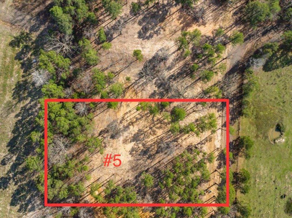 Mineola, TX 75773,LOT 5 County Road 2540
