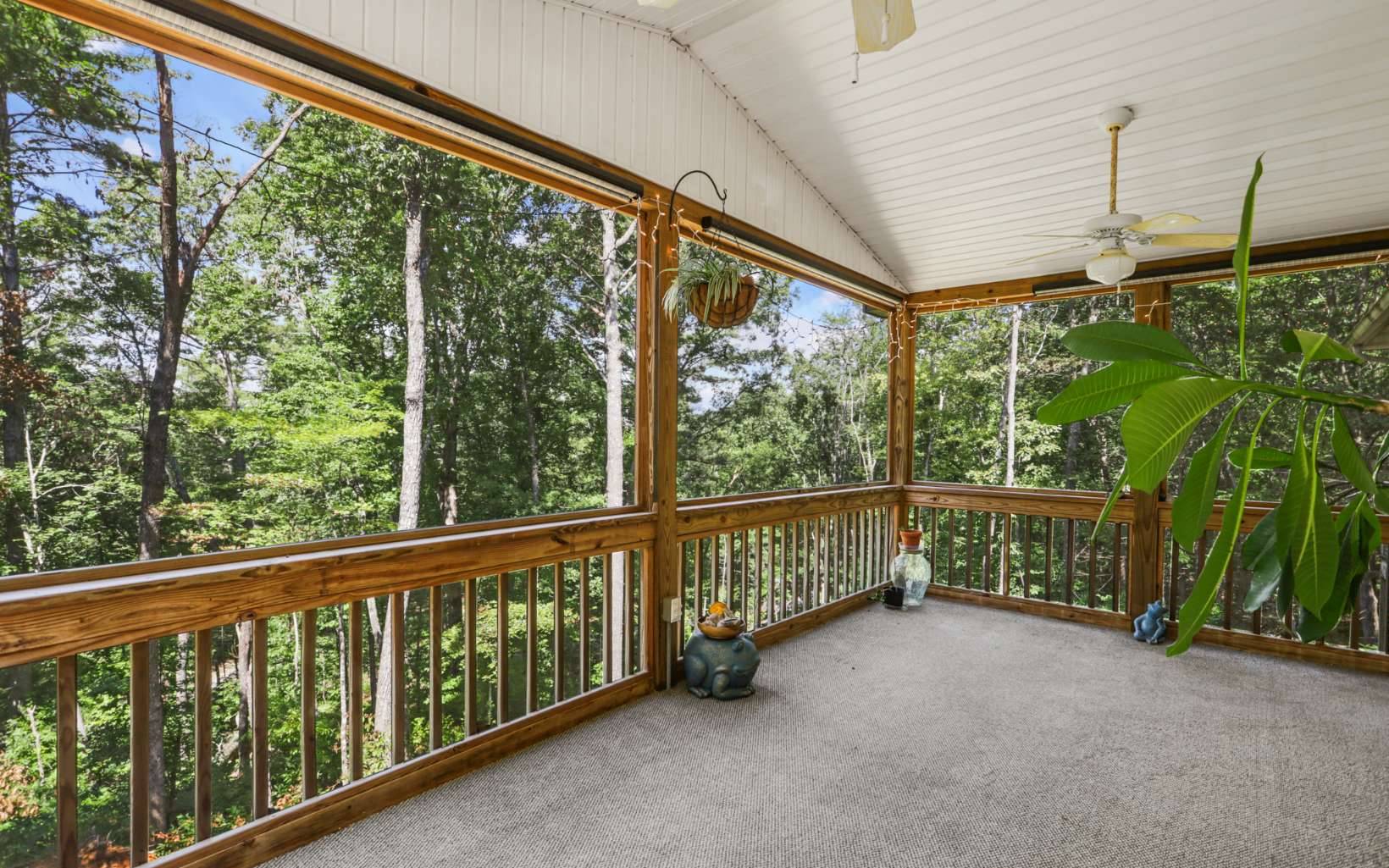 Cherry Log, GA 30522,2281 Cashes Valley Road