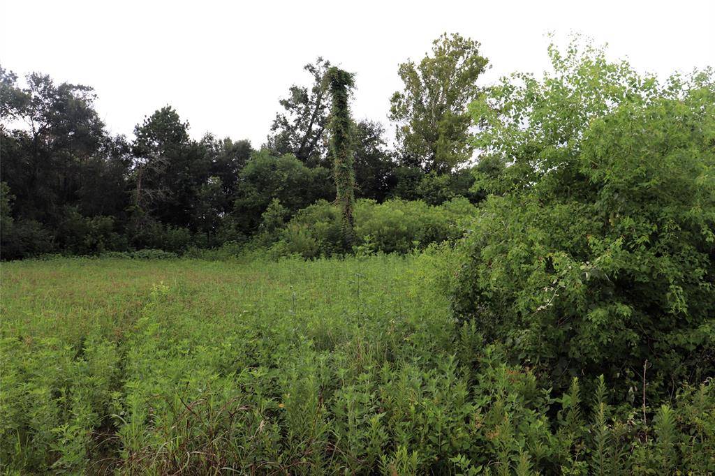 Devers, TX 77575,2.8 ac Hwy 90