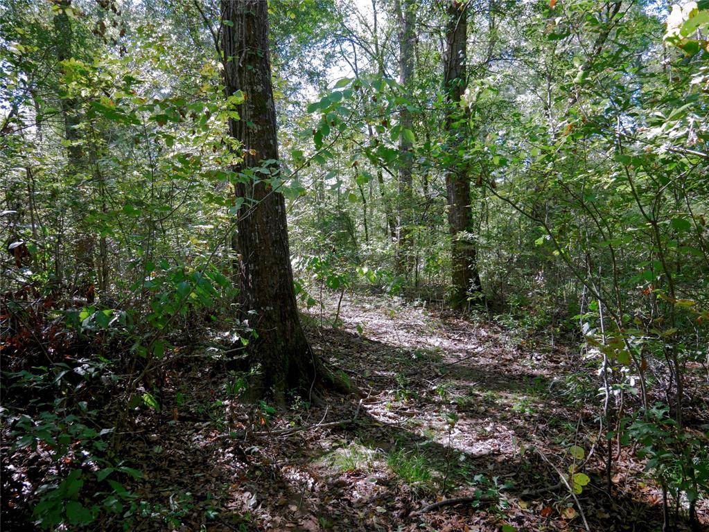 Athens, TX 75751,9948 Richardson Rd