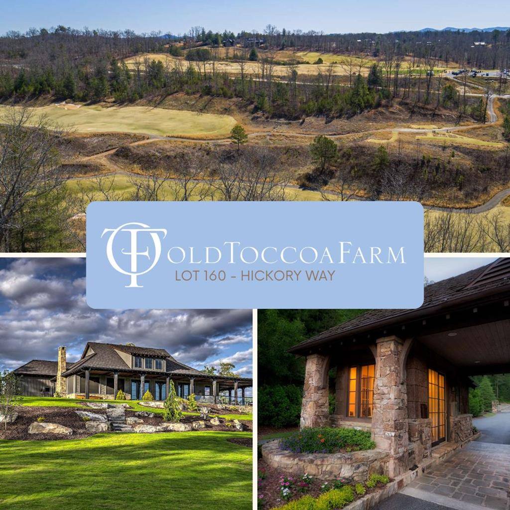Mineral Bluff, GA 30559,LT160 Hickory Way