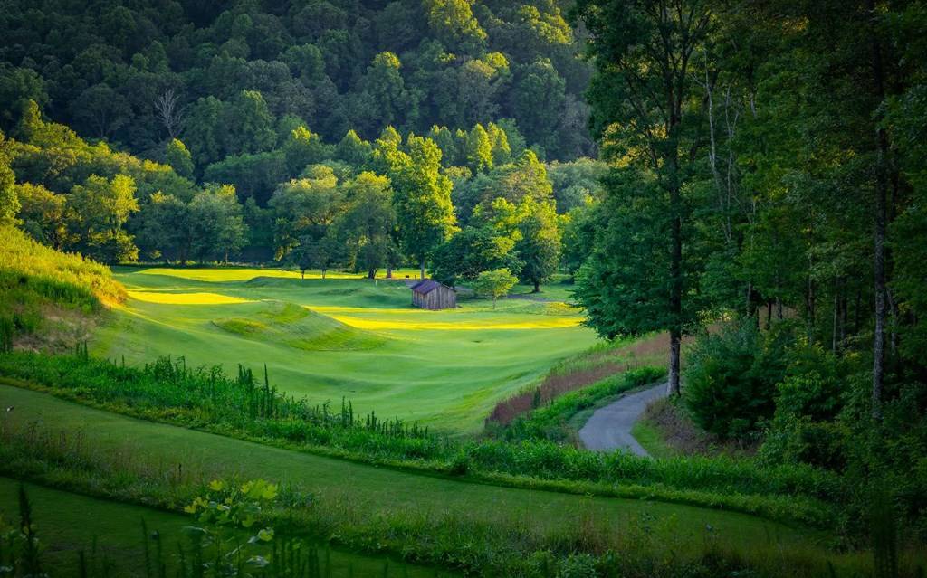 Mineral Bluff, GA 30559,LT160 Hickory Way