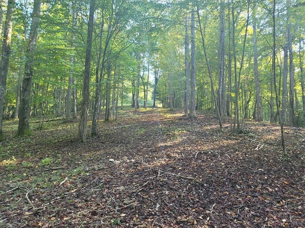 Blairsville, GA 30512,0 Arrowood Court