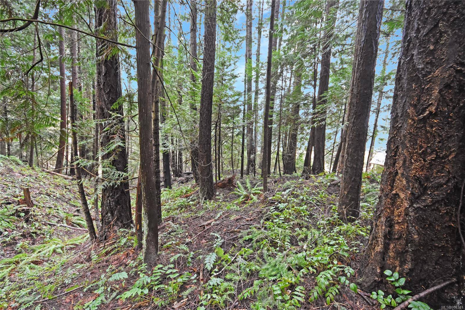 Gabriola Island, BC V0R 1X2,Lot 68 Jolly Close