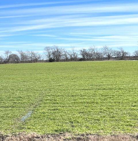 Roxton, TX 75477,7.2AC Farm Road 824