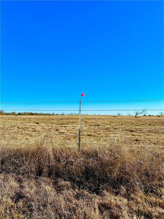 Mount Calm, TX 76673,Tract 4 Fm 339 Road